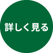 詳しく見る