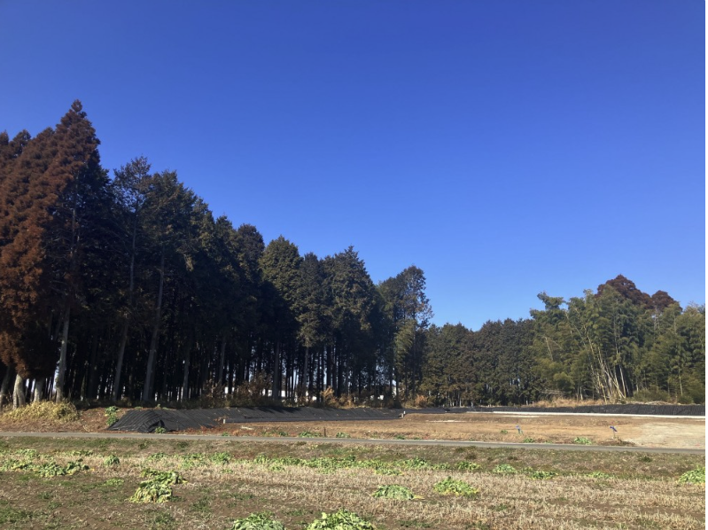 菊池郡大津町 大字杉水　